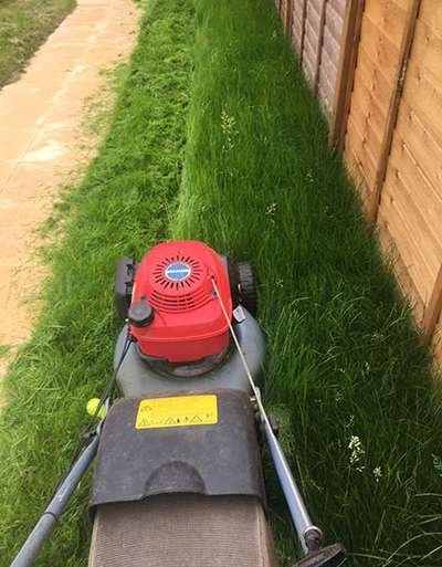 Mowing