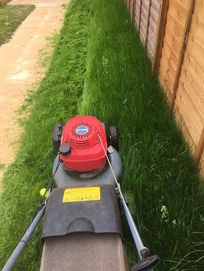 Mowing