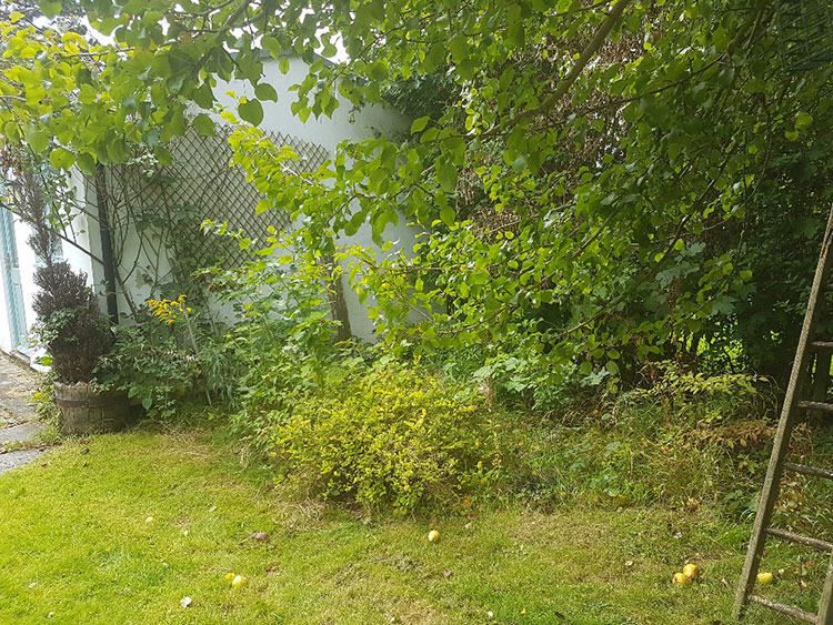 Aird Garden Clearance - BEFORE