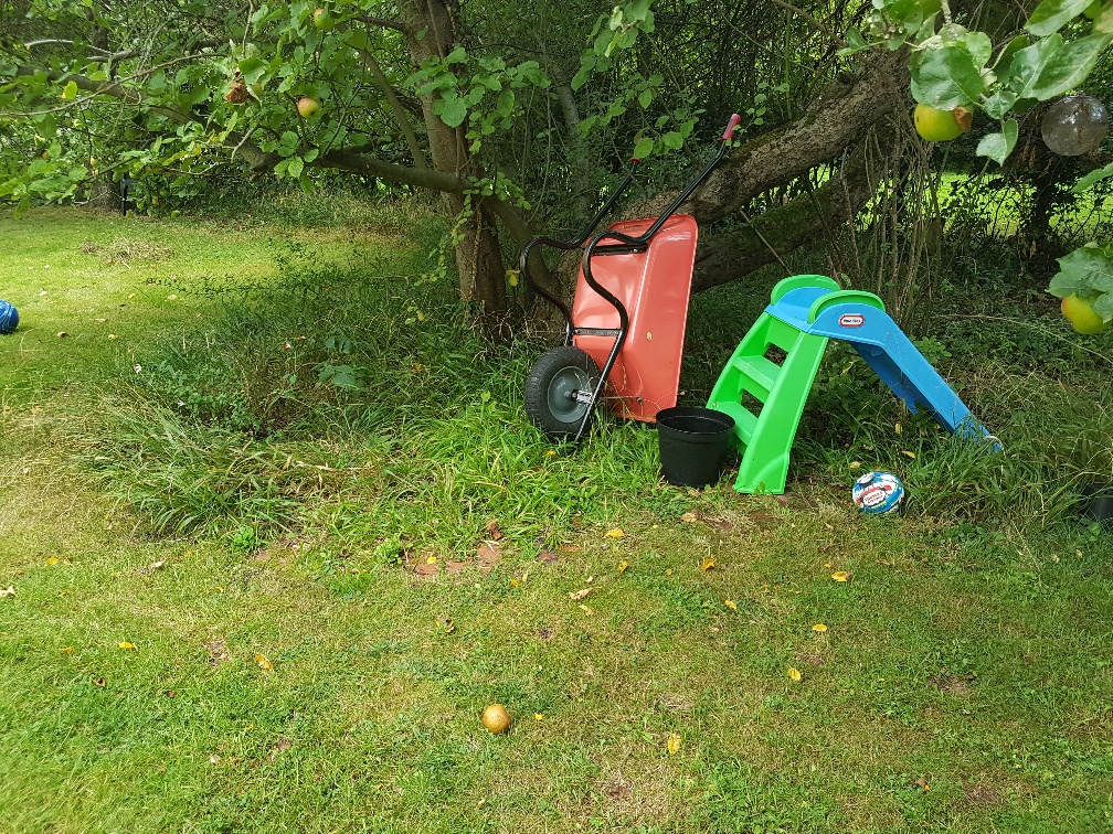 Aird Garden Clearance - BEFORE