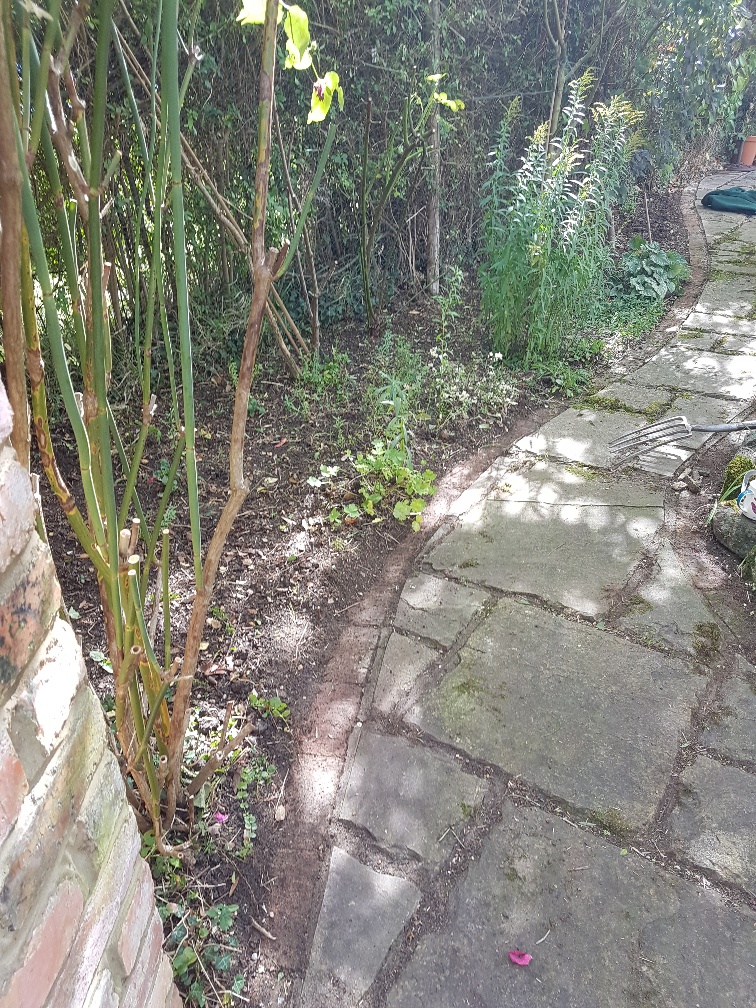 Pathway cleaning - AFTER