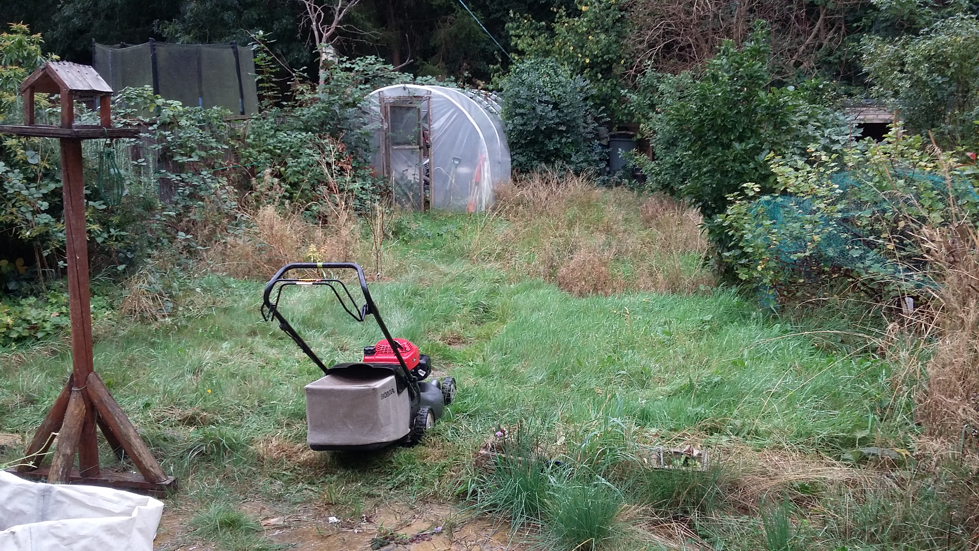 Garden Clearance and Mowing - BEFORE