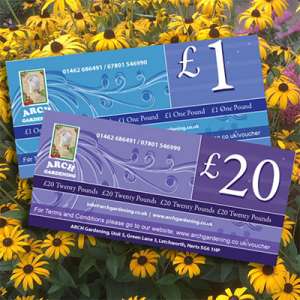 Gift Voucher Image